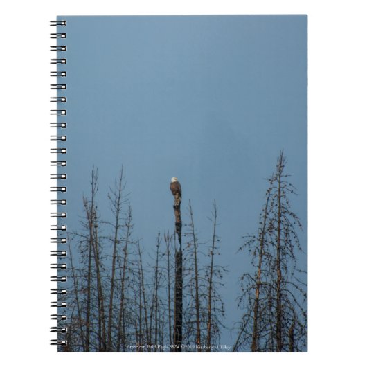 Amerikaanse Bald Eagle 8974 Notitieboek (Voorkant)