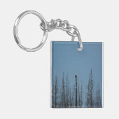 Amerikaanse Bald Eagle 8974 Sleutelhanger (Voorkant Links)