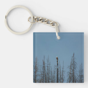 Amerikaanse Bald Eagle 8974 Sleutelhanger