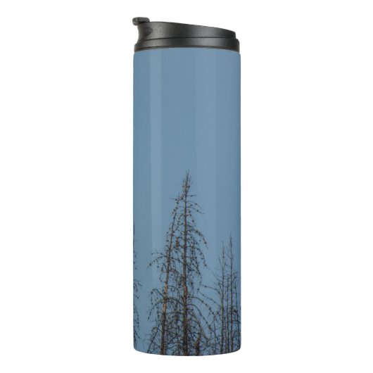 Amerikaanse Bald Eagle 8974 Thermosbeker (Geroteerd rechts)