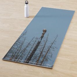 Amerikaanse Bald Eagle 8974 Yogamat