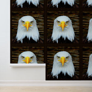 Amerikaanse Bald Eagle Behang