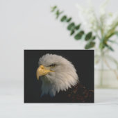 Amerikaanse Bald Eagle Briefkaart (Staand voorkant)