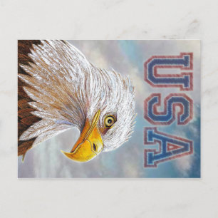 Amerikaanse Bald Eagle Briefkaart