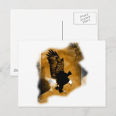 Amerikaanse Bald Eagle Briefkaart (Voorkant / Achterkant)