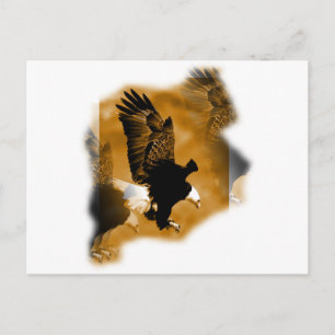 Amerikaanse Bald Eagle Briefkaart