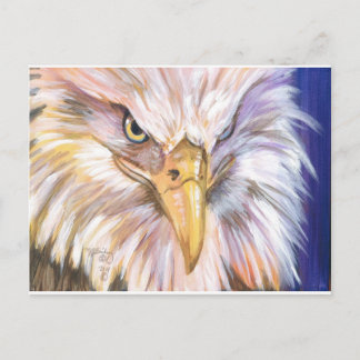 Amerikaanse Bald Eagle Briefkaart