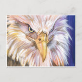 Amerikaanse Bald Eagle Briefkaart (Voorkant)