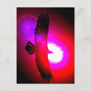 Amerikaanse Bald Eagle Briefkaart