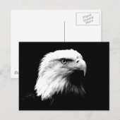 Amerikaanse Bald Eagle Briefkaart (Voorkant / Achterkant)
