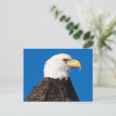 Amerikaanse Bald Eagle Briefkaart (Staand voorkant)
