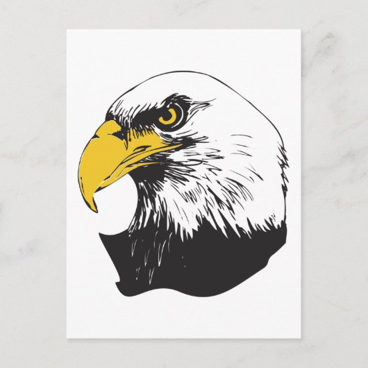 Amerikaanse Bald Eagle Briefkaart (Voorkant)