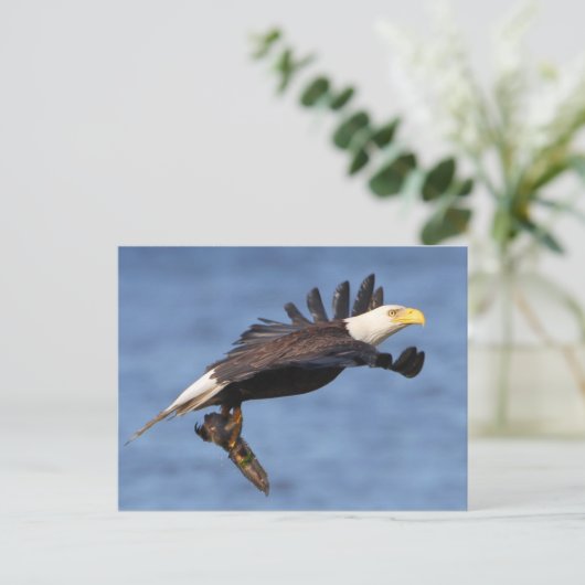 Amerikaanse Bald Eagle Briefkaart (Staand voorkant)