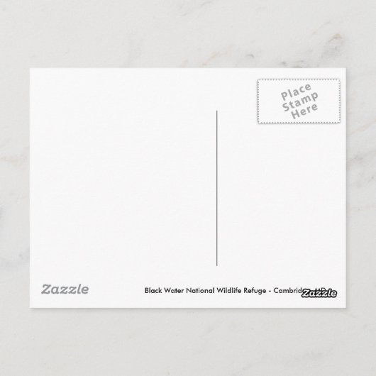 Amerikaanse Bald Eagle Briefkaart (Achterkant)