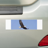 Amerikaanse Bald Eagle Bumpersticker (Op auto)