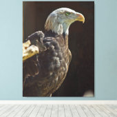 Amerikaanse Bald Eagle Canvas Afdruk (Insitu (Houten vloer))
