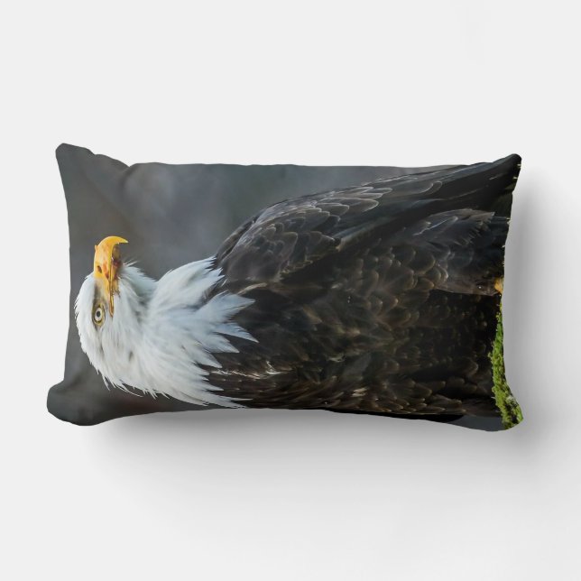 Amerikaanse Bald Eagle Dieren in natuur Kussen bre (Voorkant)