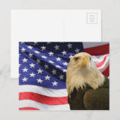 Amerikaanse Bald Eagle en vlag Briefkaart (Voorkant / Achterkant)