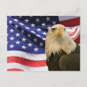 Amerikaanse Bald Eagle en vlag Briefkaart (Voorkant)