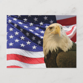 Amerikaanse Bald Eagle en vlag Briefkaart