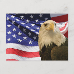 Amerikaanse Bald Eagle en vlag Briefkaart