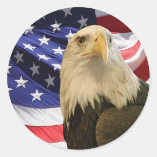 Amerikaanse Bald Eagle en vlag Ronde Sticker