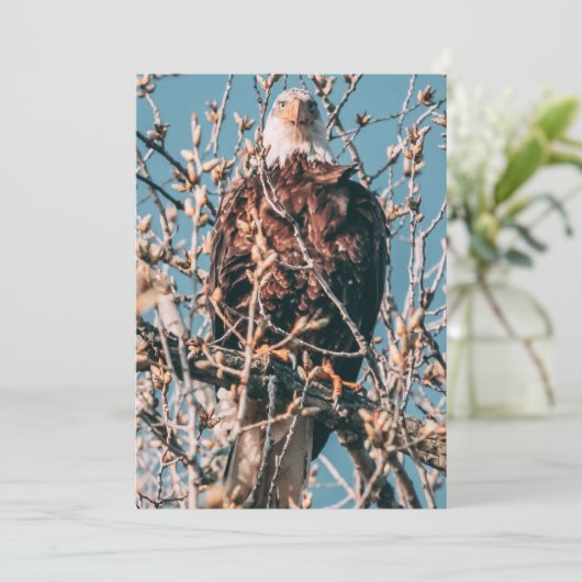 Amerikaanse Bald Eagle Feestdagenkaart (Staand voorkant)