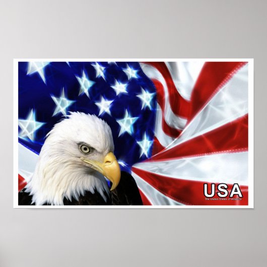 Amerikaanse Bald Eagle Flag Poster (Voorkant)