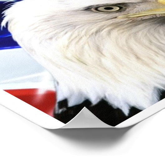 Amerikaanse Bald Eagle Flag Poster (Hoek)