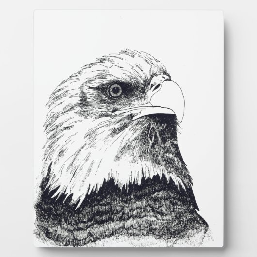 Amerikaanse Bald Eagle Fotoplaat (Voorkant)