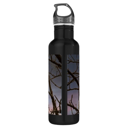 Amerikaanse Bald Eagle Full Moon Eagle Fotografie Waterfles (Achterkant)