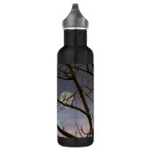 Amerikaanse Bald Eagle Full Moon Eagle Fotografie Waterfles (Rechts)