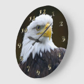 Amerikaanse Bald Eagle Grote Klok (Hoek)