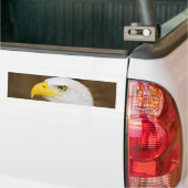 Amerikaanse Bald Eagle Haliaeetus Leucocephalus Bumpersticker (Op Truck)
