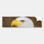 Amerikaanse Bald Eagle Haliaeetus Leucocephalus Bumpersticker (Voorkant)