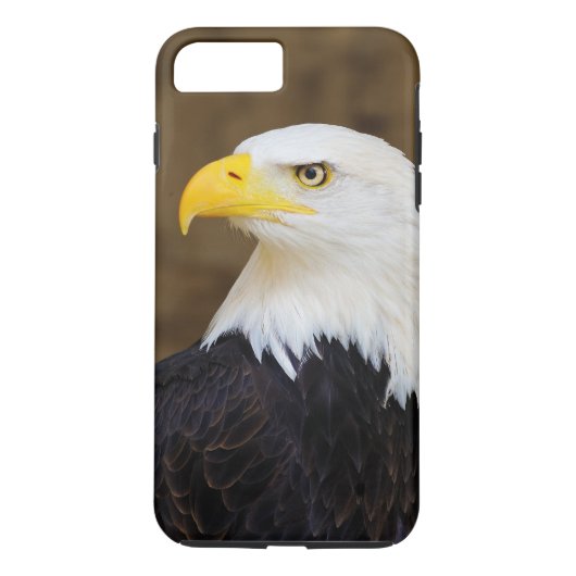 Amerikaanse Bald Eagle Haliaeetus Leucocephalus Case-Mate iPhone Case (Achterkant)