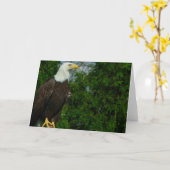 Amerikaanse Bald Eagle Kaart (Gele Bloem)