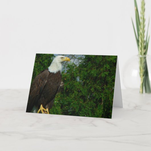 Amerikaanse Bald Eagle Kaart (Voorkant)