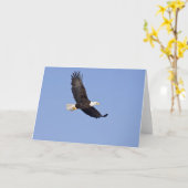 Amerikaanse Bald Eagle Kaart (Gele Bloem)