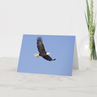 Amerikaanse Bald Eagle Kaart