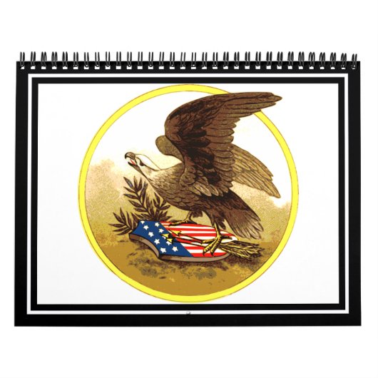 -Amerikaanse Bald Eagle Kalender (Hoes)
