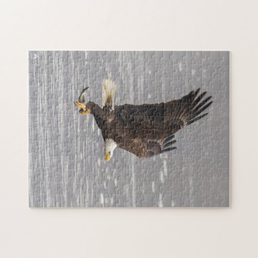 Amerikaanse Bald Eagle Legpuzzel (Horizontaal)