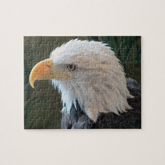 Amerikaanse Bald Eagle Legpuzzel (Horizontaal)