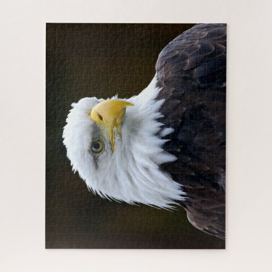 Amerikaanse Bald Eagle Legpuzzel (Verticaal)
