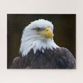 Amerikaanse Bald Eagle Legpuzzel (Horizontaal)