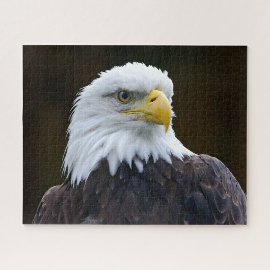 Amerikaanse Bald Eagle Legpuzzel (Horizontaal)