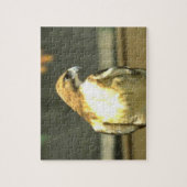 Amerikaanse Bald Eagle Legpuzzel (Verticaal)