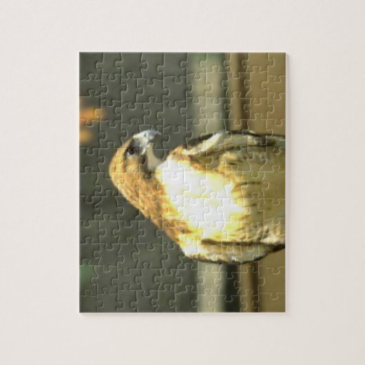 Amerikaanse Bald Eagle Legpuzzel (Verticaal)