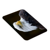 Amerikaanse Bald Eagle Magneet (Rechterzijde)