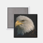 Amerikaanse Bald Eagle Magneet (Voorkant / Achterkant)